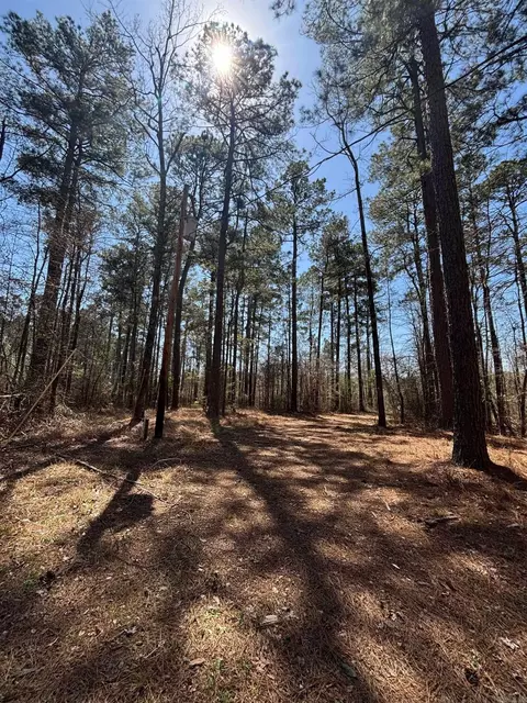 Dunkeffie, Rison, AR 71665
