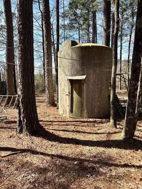 Dunkeffie, Rison, AR 71665 photo 33