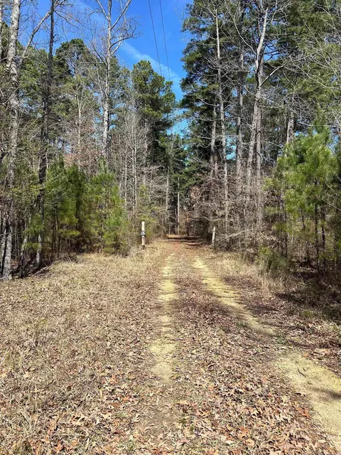 Dunkeffie, Rison, AR 71665 photo 16