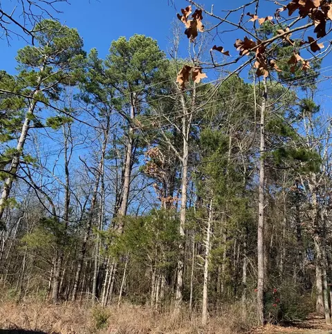 lot4 Thelma St, Heber Springs, AR 72543