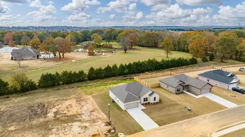 View/Area - 21 Lewis Loop, Greenbrier, AR 72058 photo 3 of 6
