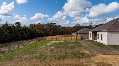 Exterior - 21 Lewis Loop, Greenbrier, AR 72058 photo 9 of 11