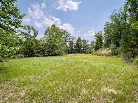 212 Broad Hawk Cir, Paron, AR 72122 photo 7
