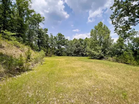 212 Broad Hawk Cir, Paron, AR 72122 photo 6