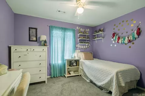 6445 Amalie Dr, Alexander, AR 72002 photo 15