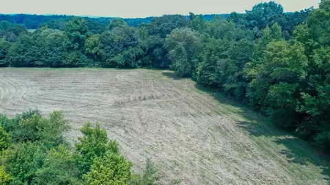 tbd Hwy 298, Sims, AR 71969 photo 20
