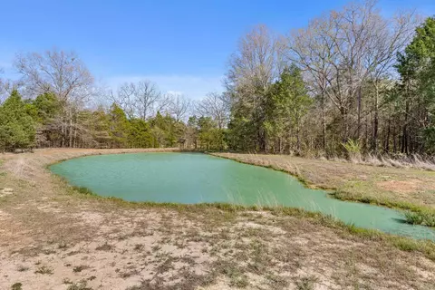 View/Area - 125 Louis Rose Ln, Conway, AR 72032 photo 1 of 3