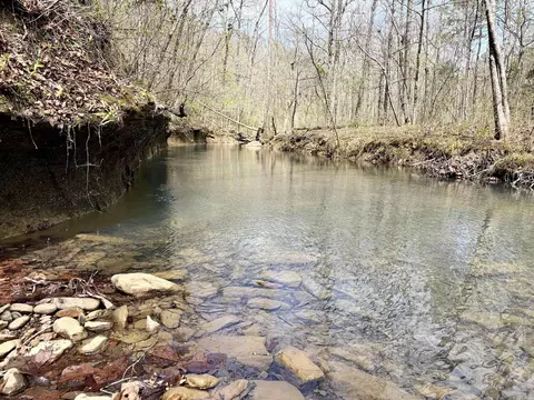 000 Fayette Rd, Clinton, AR 72031