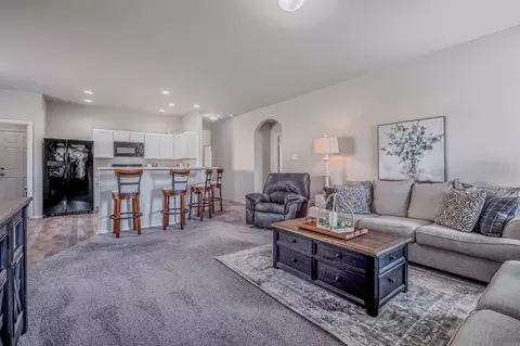 Living - 20 Erwin Dr, Austin, AR 72007 photo 1 of 2