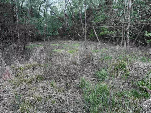 000 N Jackson Ave, Russellville, AR 72802
