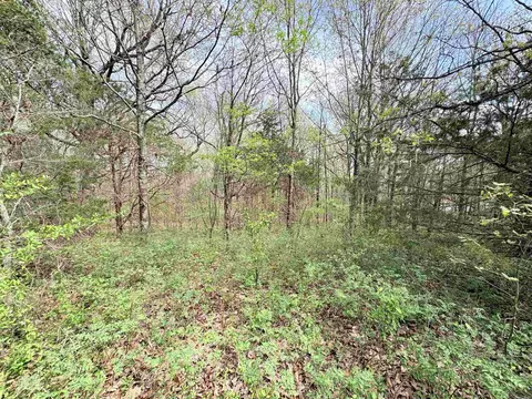 42 Clay 43 Rd, Corning, AR 72422 photo 18