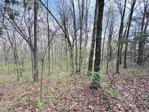 42 Clay 43 Rd, Corning, AR 72422 photo 10