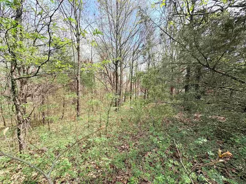 42 Clay 43 Rd, Corning, AR 72422 photo 19