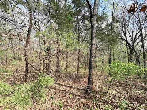 42 Clay 43 Rd, Corning, AR 72422 photo 23