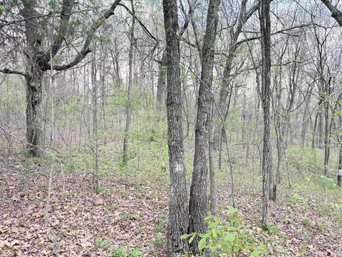 42 Clay 43 Rd, Corning, AR 72422 photo 12