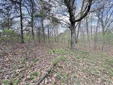42 Clay 43 Rd, Corning, AR 72422 photo 17
