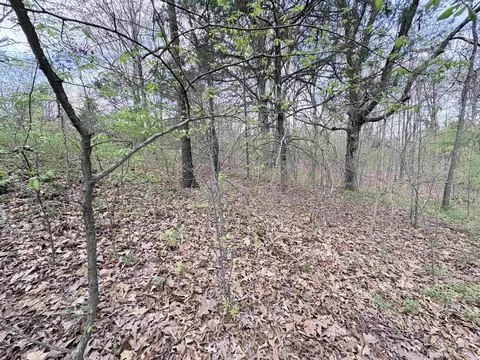 42 Clay 43 Rd, Corning, AR 72422 photo 14