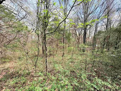 42 Clay 43 Rd, Corning, AR 72422 photo 20