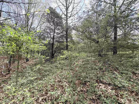 42 Clay 43 Rd, Corning, AR 72422 photo 9