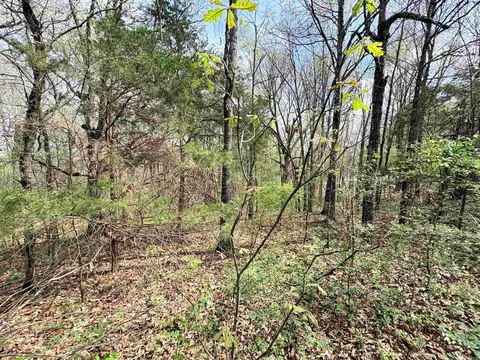 42 Clay 43 Rd, Corning, AR 72422 photo 22