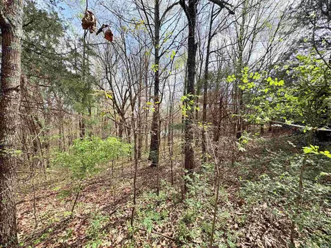 42 Clay 43 Rd, Corning, AR 72422 photo 24