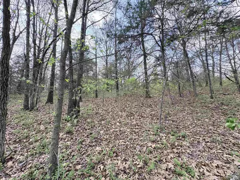 42 Clay 43 Rd, Corning, AR 72422 photo 16