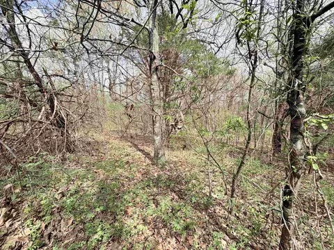 42 Clay 43 Rd, Corning, AR 72422 photo 8