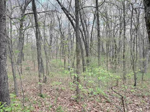 42 Clay 43 Rd, Corning, AR 72422 photo 26