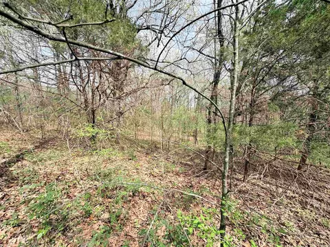 42 Clay 43 Rd, Corning, AR 72422 photo 21