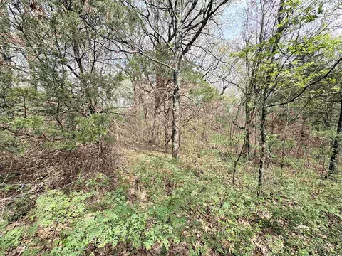 42 Clay 43 Rd, Corning, AR 72422 photo 7