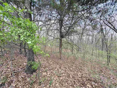 42 Clay 43 Rd, Corning, AR 72422 photo 11