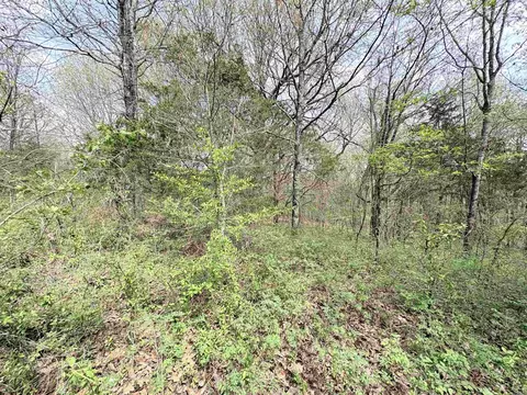 42 Clay 43 Rd, Corning, AR 72422 photo 6