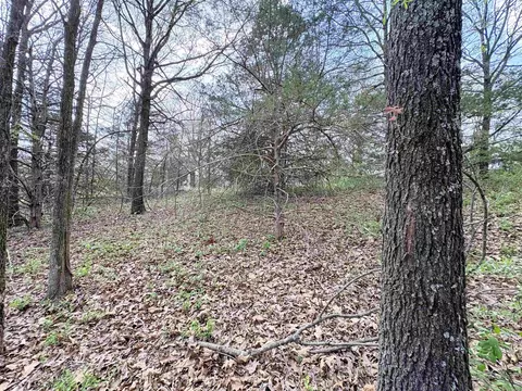 42 Clay 43 Rd, Corning, AR 72422 photo 13