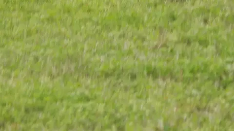 Slinker Road, Hensley, AR 72206