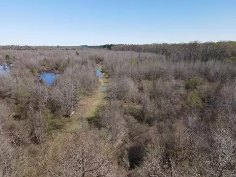 000 Camden Hwy, Prescott, AR 71875