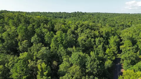 000 Henderson Rd, Malvern, AR 72104 photo 7