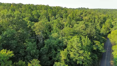 000 Henderson Rd, Malvern, AR 72104 photo 4