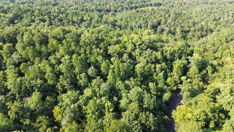000 Henderson Rd, Malvern, AR 72104 photo 8