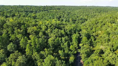 000 Henderson Rd, Malvern, AR 72104 photo 6