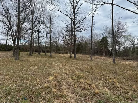 8 Acres Hwy 167, Ash Flat, AR 72513 photo 6
