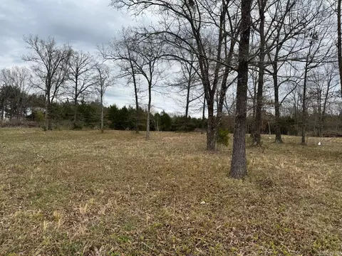 8 Acres Hwy 167, Ash Flat, AR 72513 photo 3