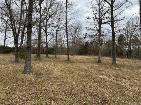 8 Acres Hwy 167, Ash Flat, AR 72513 photo 4