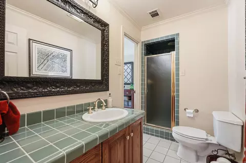 Bath - 343 Pippinpost Dr, Conway, AR 72034 photo 1 of 5