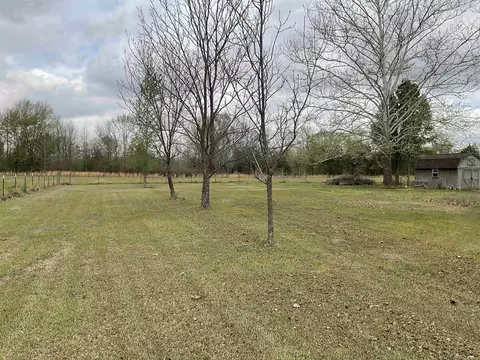 Exterior - 118 Cedar Valley Dr, El Paso, AR 72045 photo 12 of 13