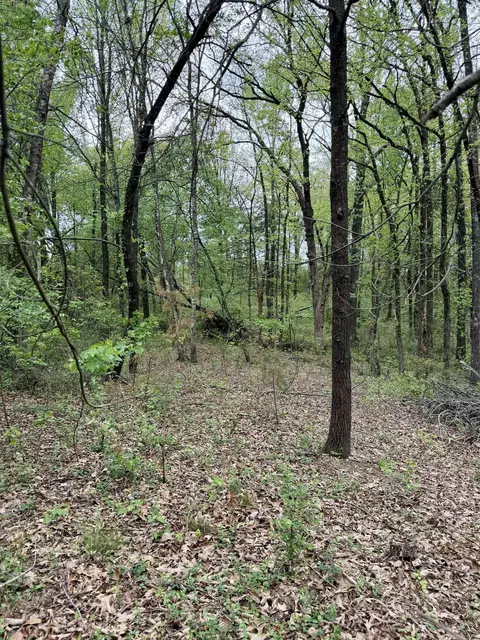 000 Dublin Rd, Scranton, AR 72863 photo 11