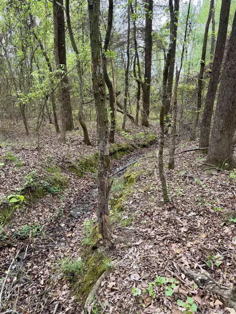 000 Dublin Rd, Scranton, AR 72863 photo 14