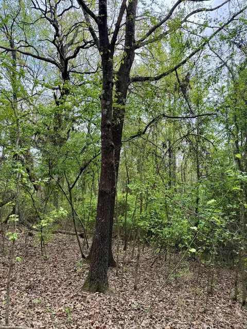 000 Dublin Rd, Scranton, AR 72863 photo 12