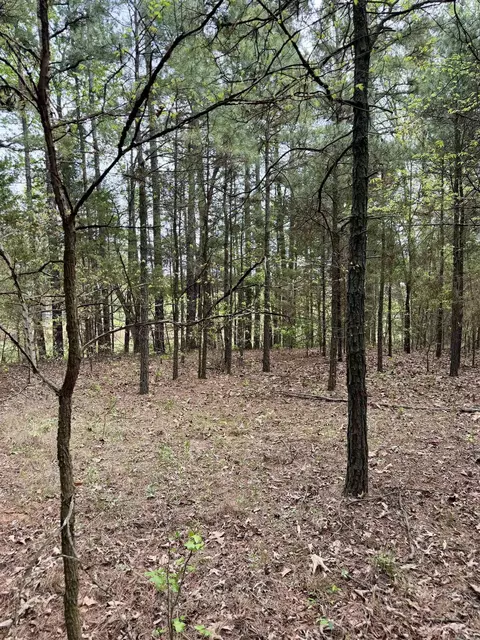 000 Dublin Rd, Scranton, AR 72863 photo 9