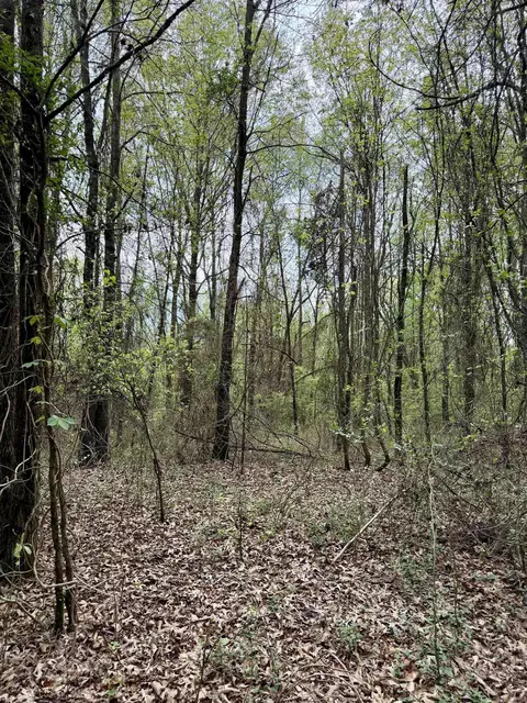 000 Dublin Rd, Scranton, AR 72863 photo 10