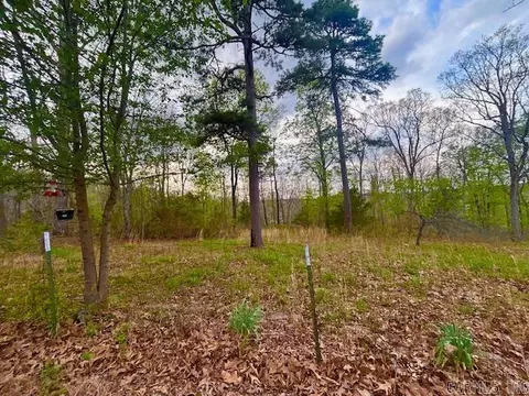 Other - 397 Fox Hollow Rd, Fox, AR 72051 photo 21 of 26